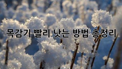 목감기 빨리 낫는 방법 총정리